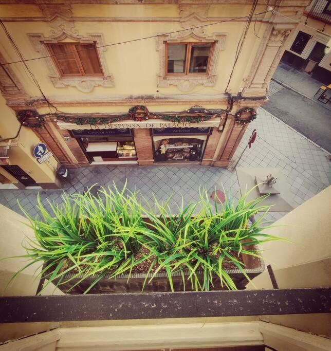 Estudio Centro De Sevilla Экстерьер фото
